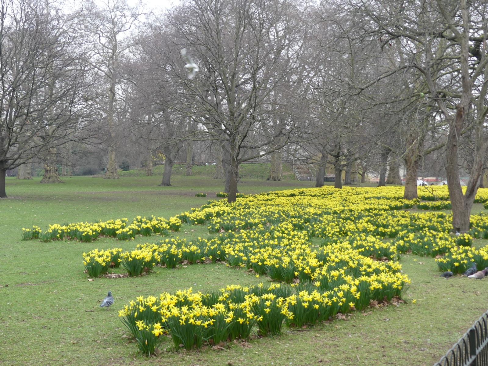 St James Park Londres Buckingham Palace vue