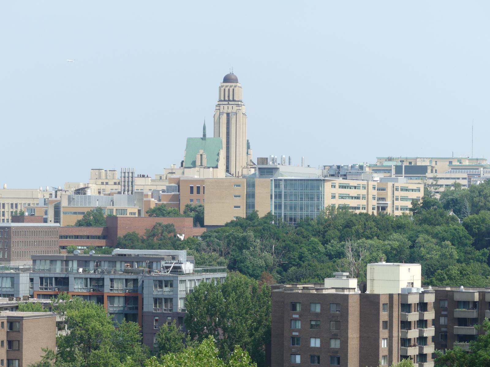 belvedère mont royal montréal