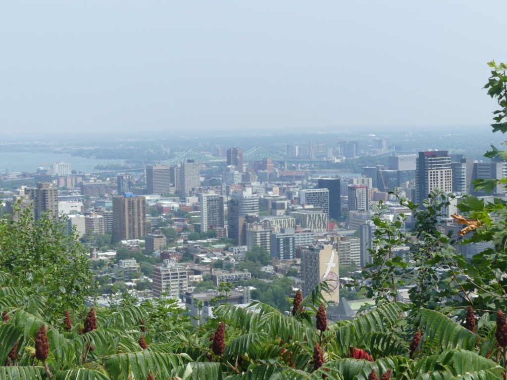 belvedère mont royal montréal
