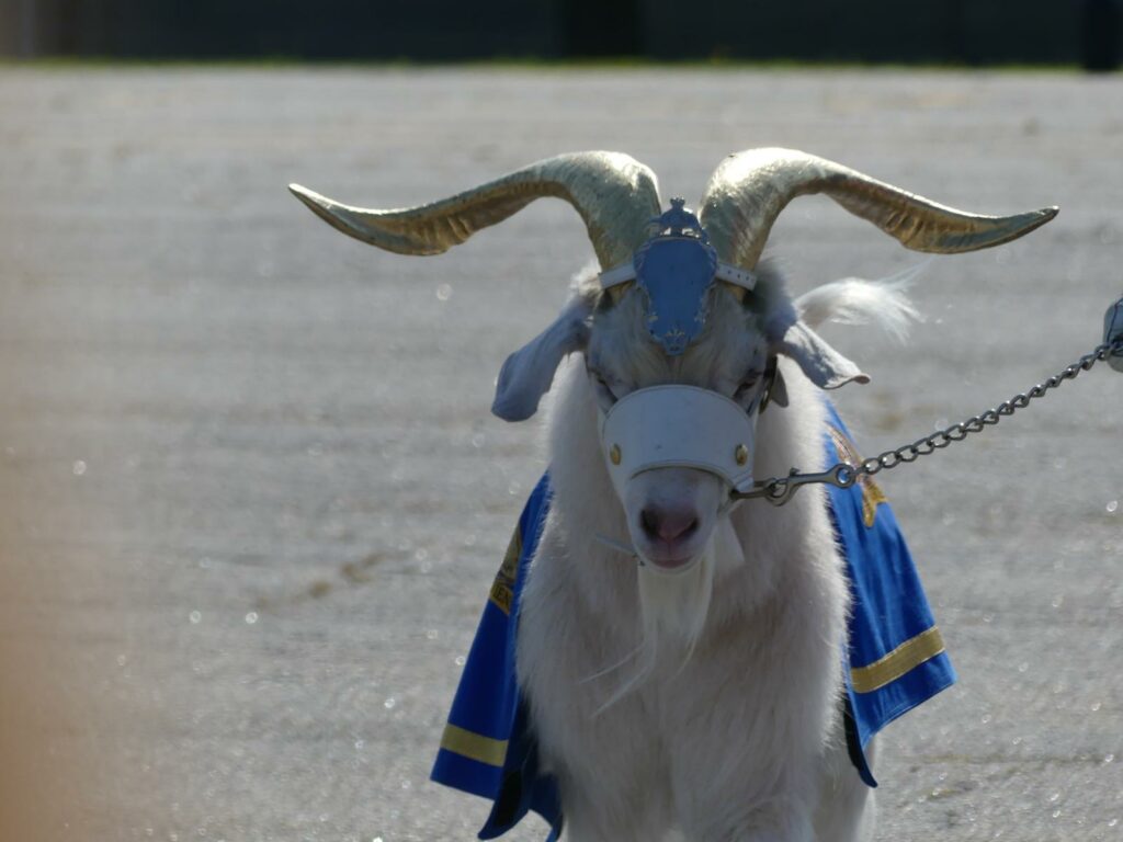 la mascotte de la garde