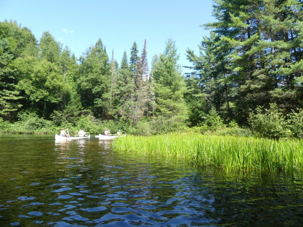 découvrir le parc de la mauricie