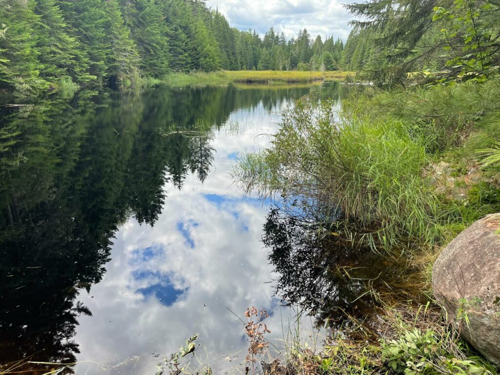 découvrir le parc de la mauricie