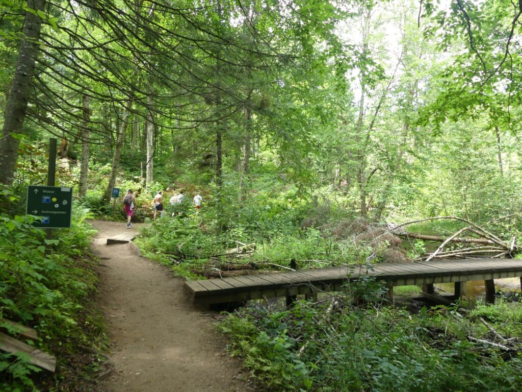 découvrir le parc de la mauricie