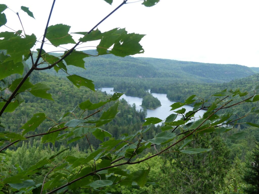 découvrir le parc de la mauricie