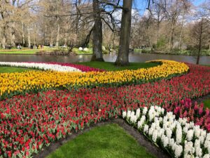 Le jardin de fleurs de Keukenhof : une explosion de couleurs… au bon moment !