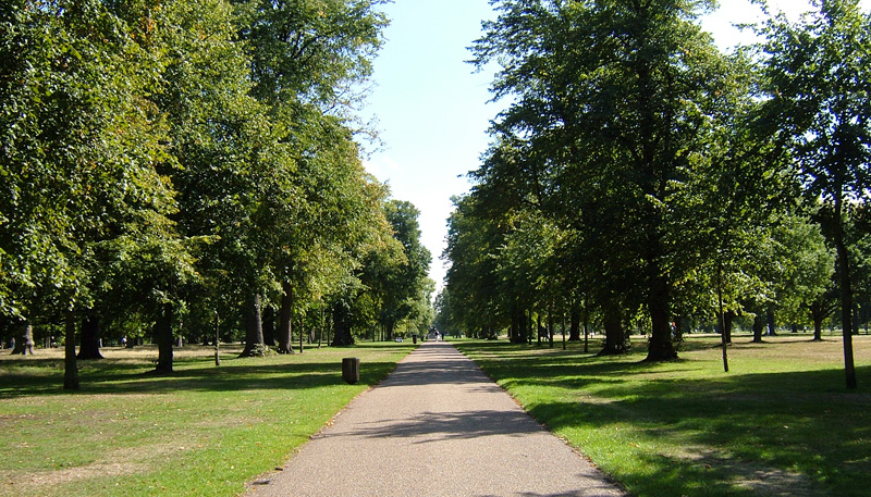 Hyde Park Londres promenade nature