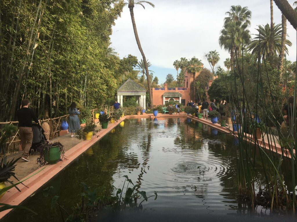 allées du Jardin Majorelle parmi cactus et bambous à Marrakech"