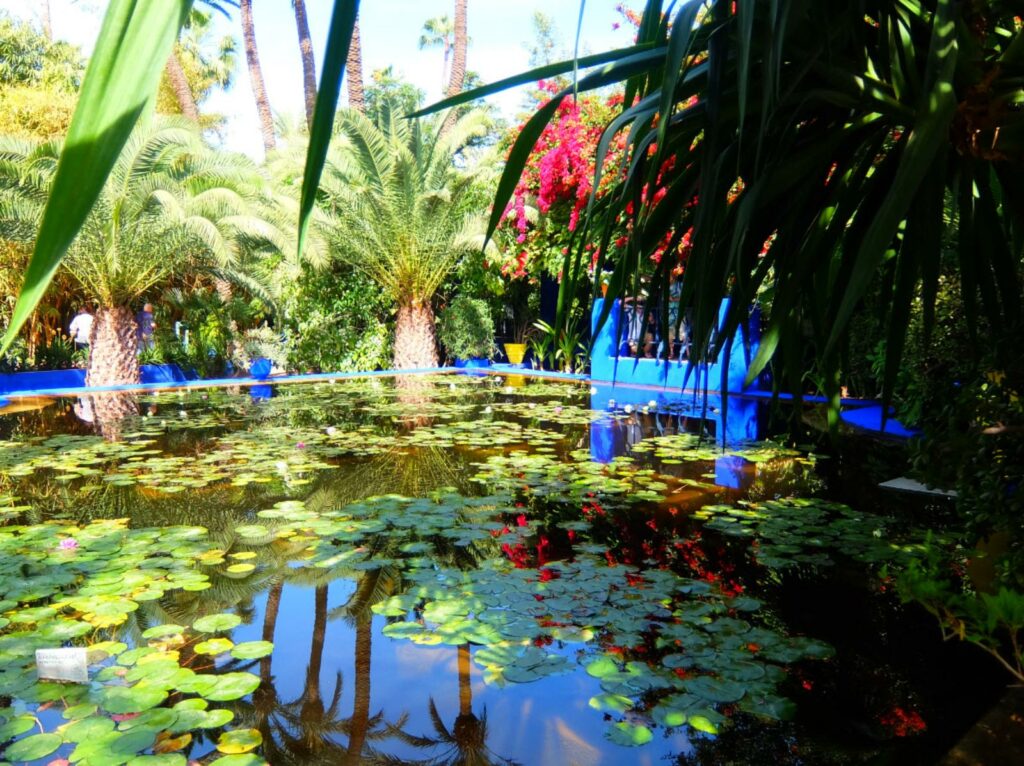 Jardin Majorelle à Marrakech avec ses bâtiments bleu Majorelle et plantes exotiques"