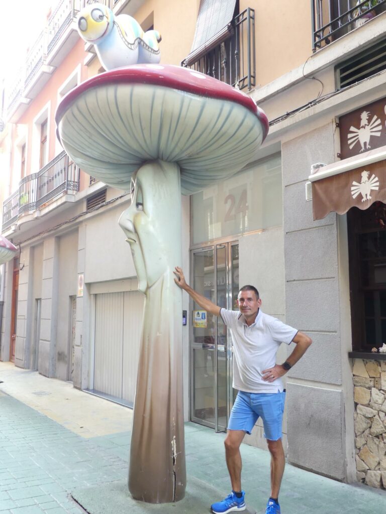 rue des champignons à Alicante Espagne