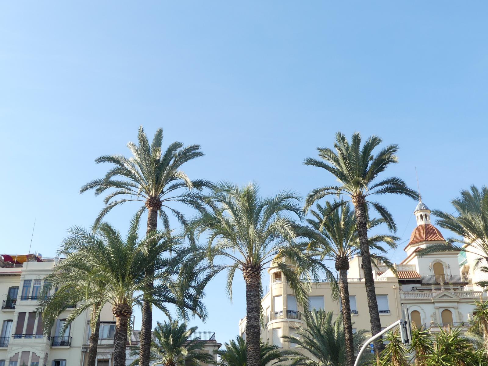 visiter alicante