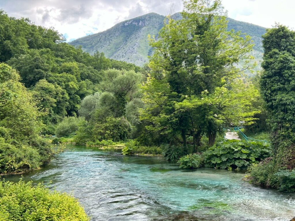blue eye albanie