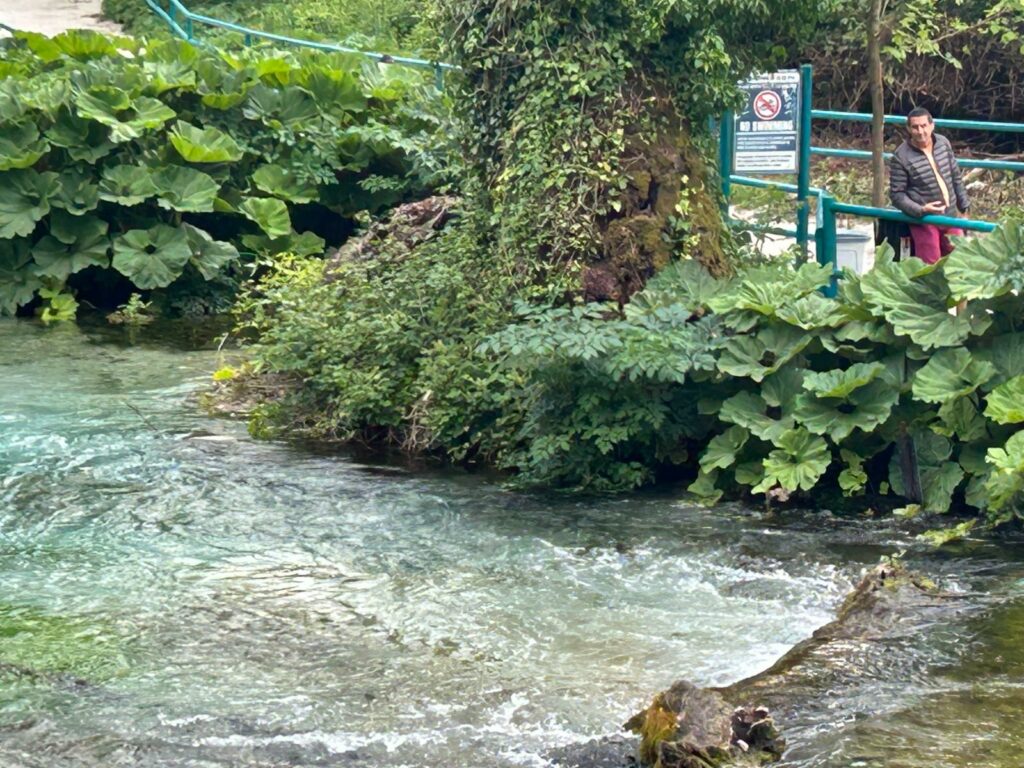 blue eye albanie