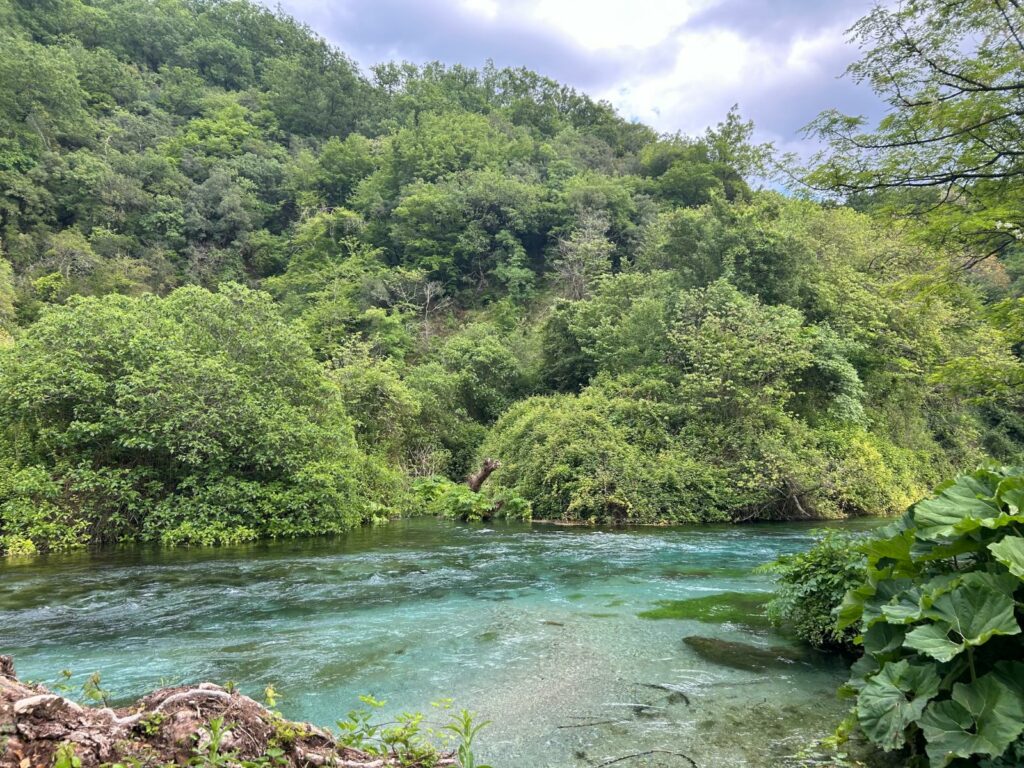 blue eye albanie