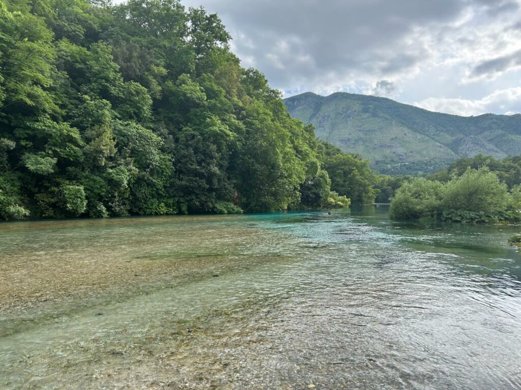 blue eye albanie