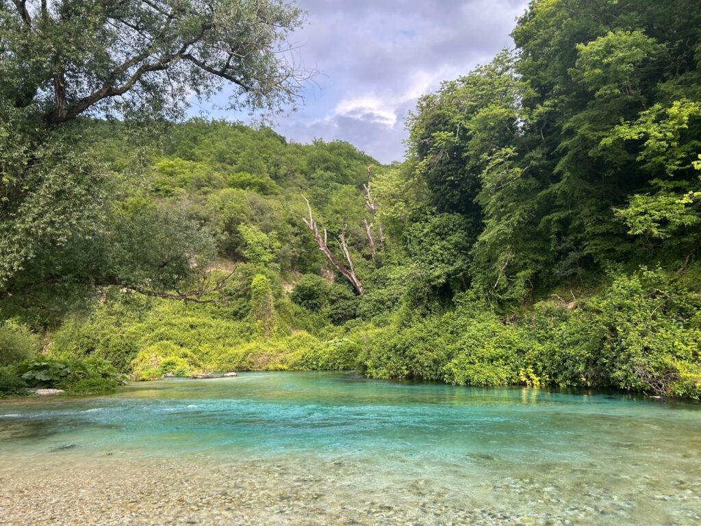 blue eye albanie