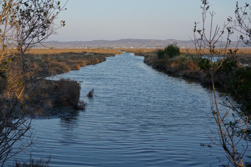 lagune karavasta